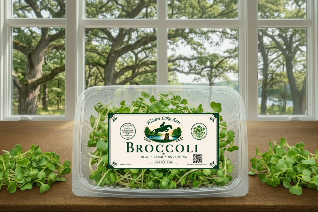 Broccoli Microgreens