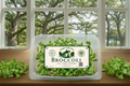Broccoli Microgreens