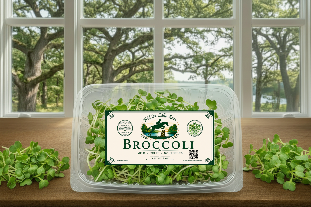 Broccoli Microgreens