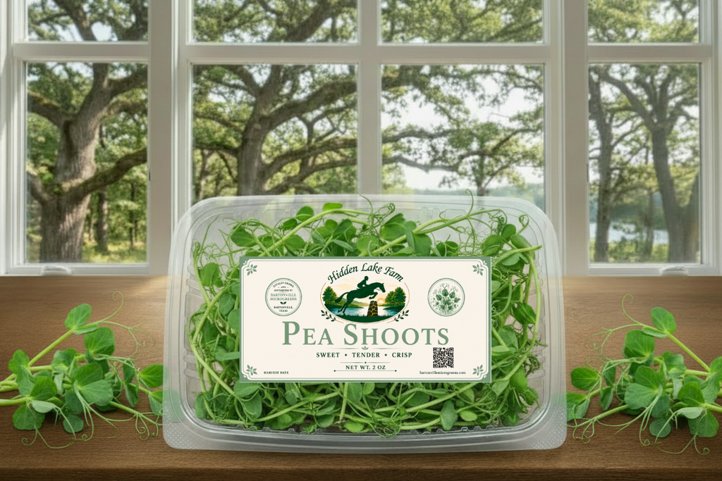 Pea Shoot Microgreens