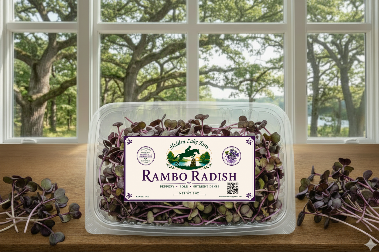 Rambo Radish Microgreens
